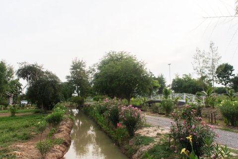 Hotel in Hua Hin, Thailand № 158677 - photo 19