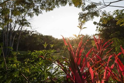 Вилла в Сан-Сая, Таиланд с 4 спальнями  № 142558 - фото 21