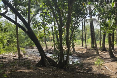 Земельный участок в Пхукете, Таиланд 16000м2  № 142522 - фото 3