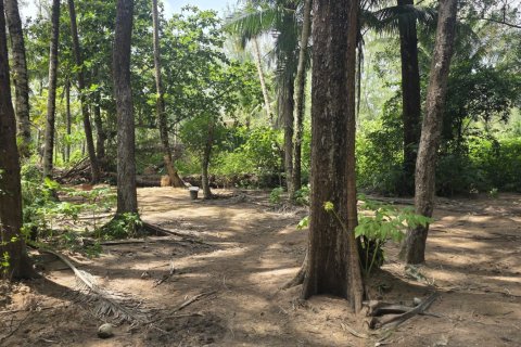 Земельный участок в Пхукете, Таиланд 16000м2  № 142522 - фото 7