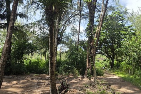 Земельный участок в Пхукете, Таиланд 16000м2  № 142522 - фото 10