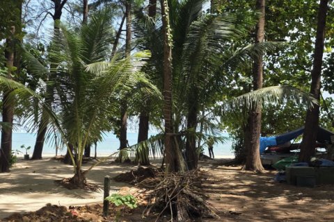 Земельный участок в Пхукете, Таиланд 16000м2  № 142522 - фото 11