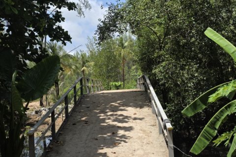 Земельный участок в Пхукете, Таиланд 16000м2  № 142522 - фото 8