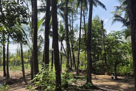 Земельный участок в Пхукете, Таиланд 16000м2  № 142522 - фото 2