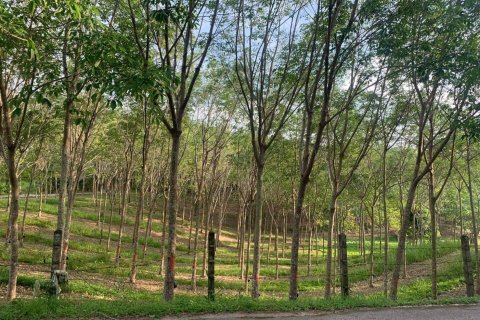 Terrain à Phuket, Thaïlande 10756 m2 № 155977 - photo 10