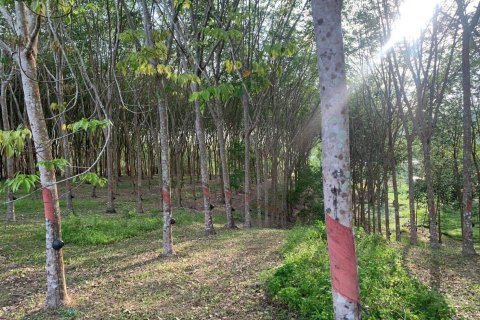 Terrain à Phuket, Thaïlande 10756 m2 № 155977 - photo 6