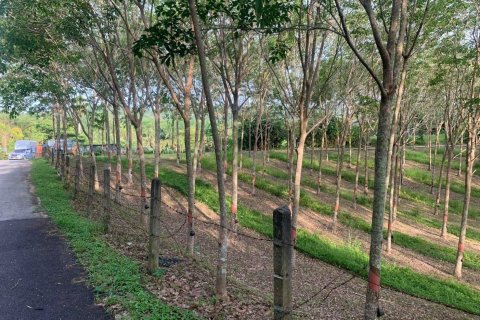 Terrain à Phuket, Thaïlande 10756 m2 № 155977 - photo 11