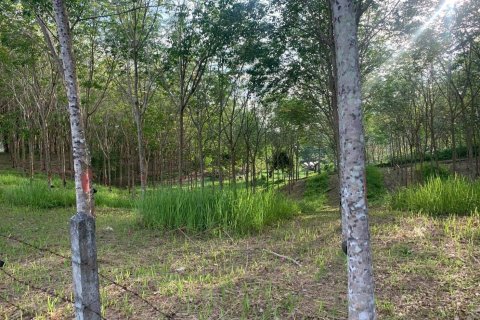 Terrain à Phuket, Thaïlande 10756 m2 № 155977 - photo 4