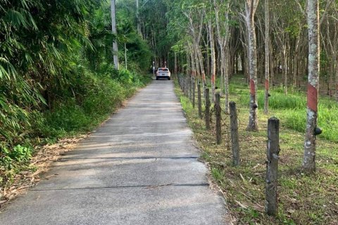 Terrain à Phuket, Thaïlande 10756 m2 № 155977 - photo 8