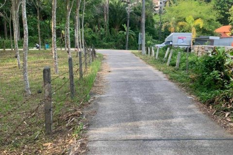 Terrain à Phuket, Thaïlande 10756 m2 № 155977 - photo 3