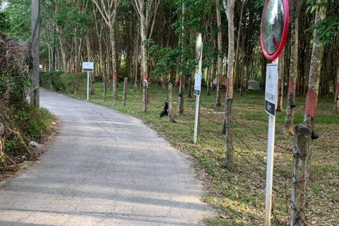 Terrain à Phuket, Thaïlande 10756 m2 № 155977 - photo 5