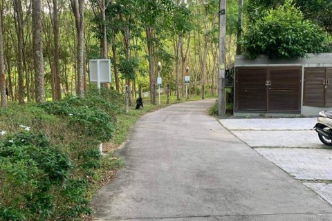 Terrain à Phuket, Thaïlande 10756 m2 № 155977 - photo 9