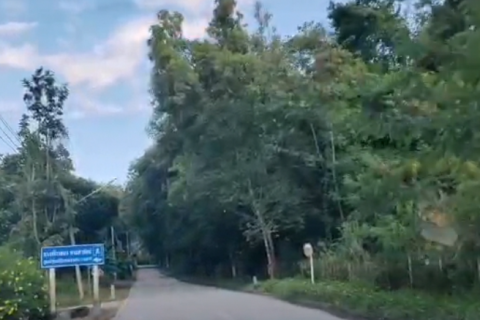 Земельный участок в Чиангмае, Таиланд 6400м2  № 155979 - фото 6