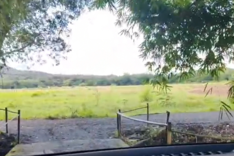 Земельный участок в Чиангмае, Таиланд 6400м2  № 155979 - фото 8