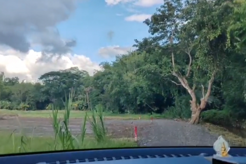 Земельный участок в Чиангмае, Таиланд 6400м2  № 155979 - фото 11