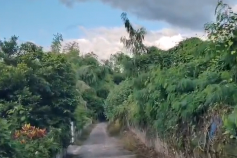 Земельный участок в Чиангмае, Таиланд 6400м2  № 155979 - фото 7