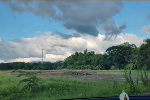 Земельный участок в Чиангмае, Таиланд 6400м2  № 155979 - фото 10