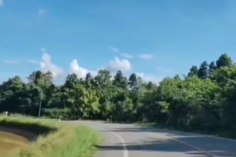 Земельный участок в Чиангмае, Таиланд 6400м2  № 155979 - фото 4