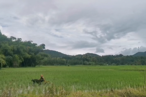 Земельный участок в Чиангмае, Таиланд 6400м2  № 155979 - фото 2