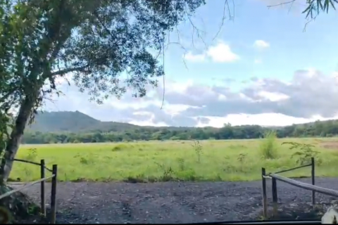 Земельный участок в Чиангмае, Таиланд 6400м2  № 155979 - фото 9