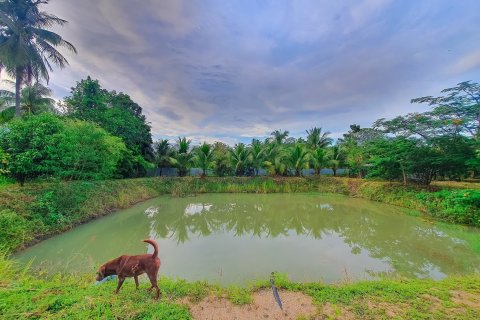 House in Hua Hin, Thailand 2 bedrooms № 152258 - photo 16