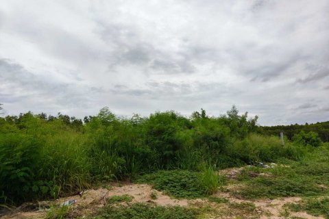 Земельный участок в Паттайе, Таиланд 388м2  № 168943 - фото 7