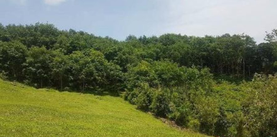 Terrain à Ko Lanta Yai, Thaïlande 4800 m2 № 192845