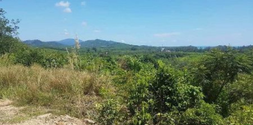 Terrain à Ko Lanta Yai, Thaïlande 8000 m2 № 192846