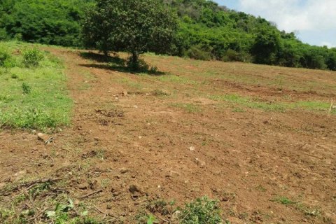 Terrain à Pran Buri, Thaïlande № 168402 - photo 9