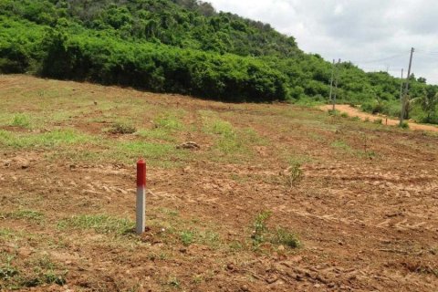 Terrain à Pran Buri, Thaïlande № 168402 - photo 6