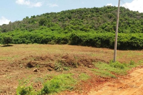 Terrain à Pran Buri, Thaïlande № 168402