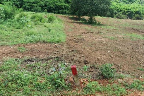 Terrain à Pran Buri, Thaïlande № 168402 - photo 3