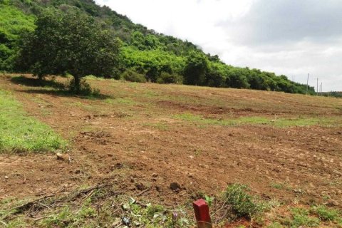 Terrain à Pran Buri, Thaïlande № 168402 - photo 7
