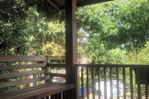 Propriété commerciale à Pai, Thaïlande № 161625 - photo 7