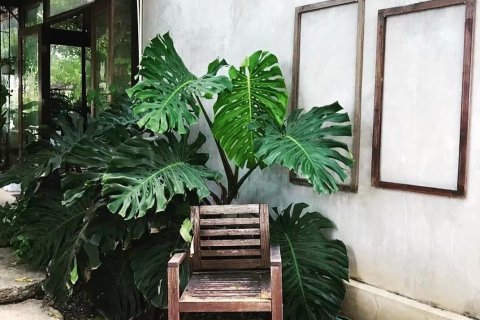 Дом в Нонг Кхэ, Таиланд с 6 спальнями  № 149944 - фото 7