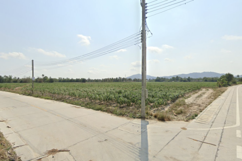 Land in Rayong, Thailand 161600 sq.m. № 149941