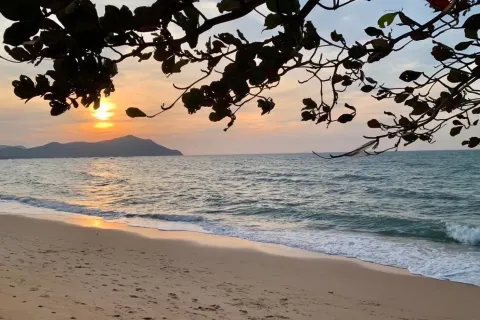 Condo à Pattaya, Thaïlande, 2 chambres  № 156211 - photo 2