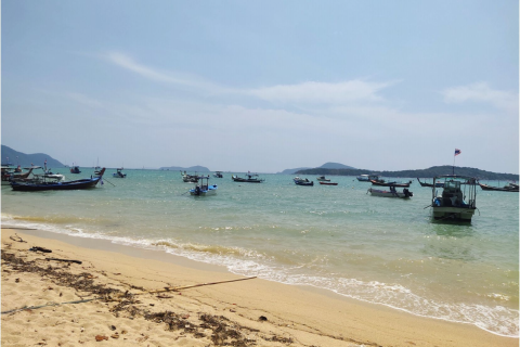 Land in Phuket, Thailand 4800 sq.m. № 169615 - photo 2