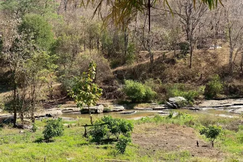 Земельный участок в Чомтонге, Таиланд 9600м2  № 156537 - фото 3