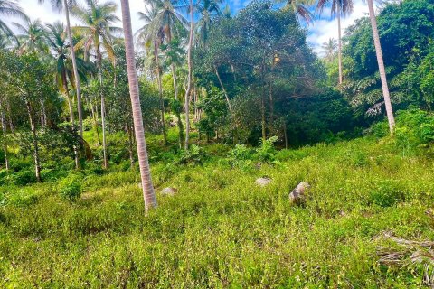 Земельный участок в Самуи, Таиланд 2920.4м2 № 142005 - фото 5