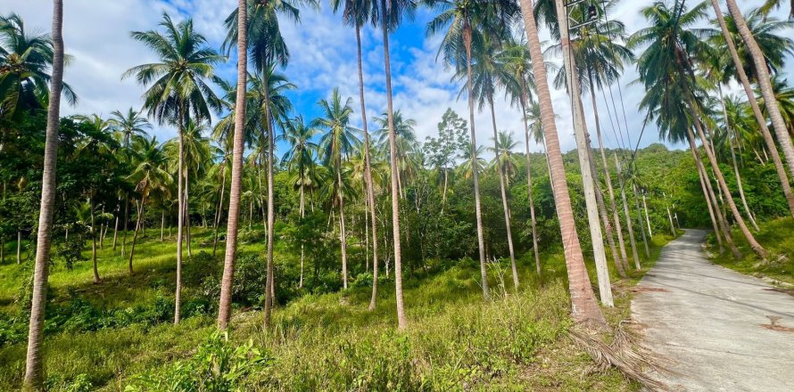 Земельный участок в Самуи, Таиланд 2920.4м2 № 142005