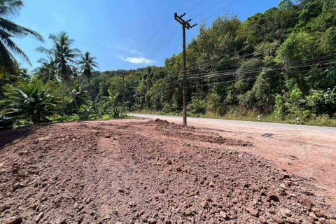 Terrain à Chumphon, Thaïlande № 134692 - photo 7