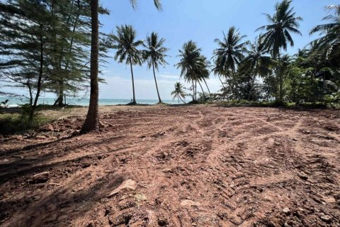 Terrain à Chumphon, Thaïlande № 134692 - photo 8
