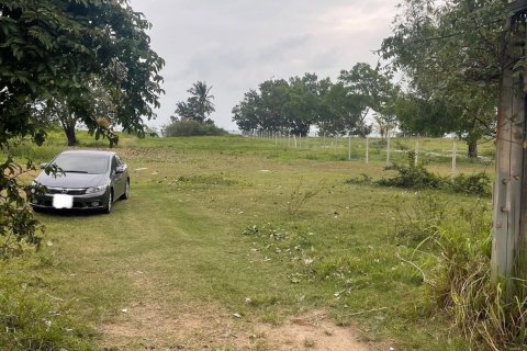 Terrain à Ko Samui, Thaïlande 1240 m2 № 144702 - photo 4