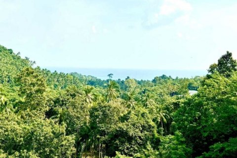 Studio à Ko Samui, Thaïlande № 139538 - photo 11