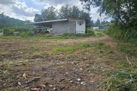 Terrain à Pak Chong, Thaïlande 4400 m2 № 154753 - photo 3