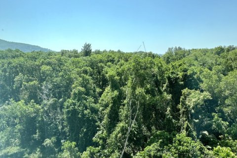 Студия в кондо в Пхукете, Таиланд № 153226 - фото 12