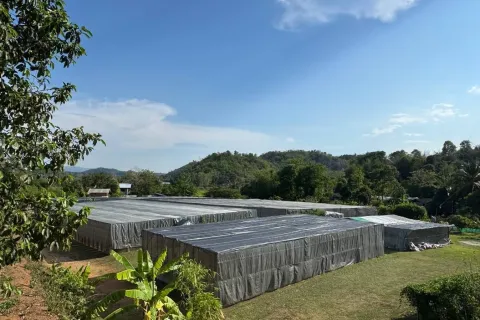 Terrain à Mae Chan, Thaïlande 14400 m2 № 169447 - photo 10