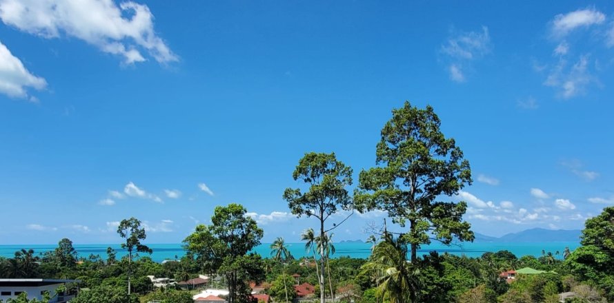 Villa in Narathiwat, Thailand 3 bedrooms № 179949