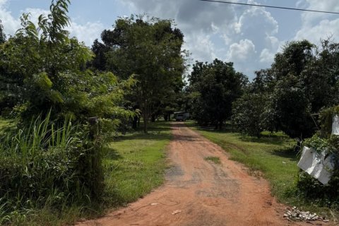 Terrain à Ubon Ratchathani, Thaïlande 35200 m2 № 151957 - photo 1